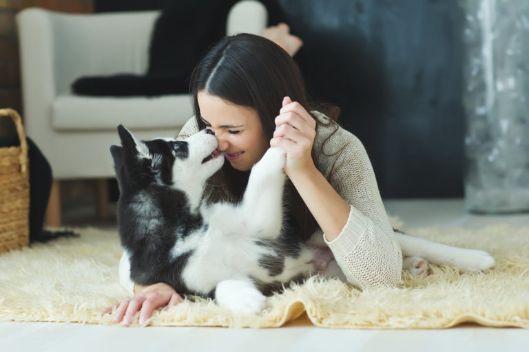 Cómo saber si tu perro te quiere