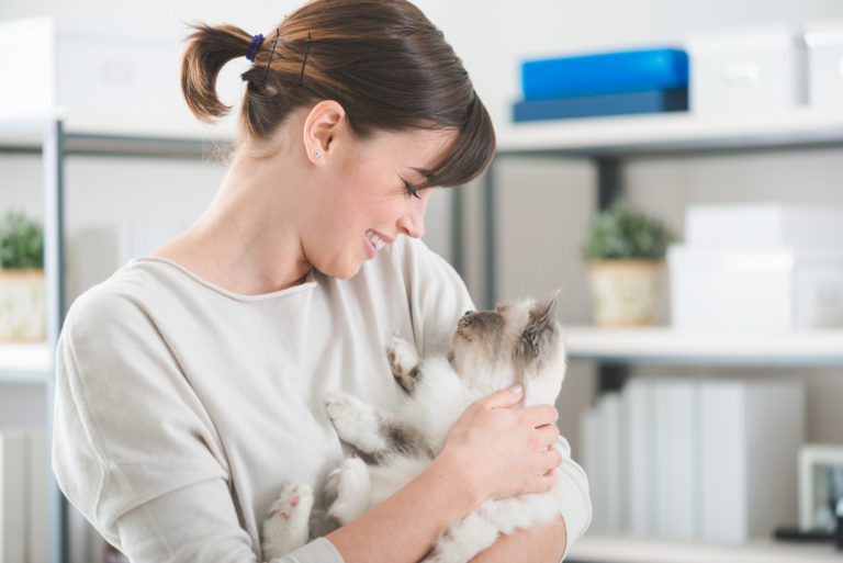 Cómo saber si tu gato te quiere