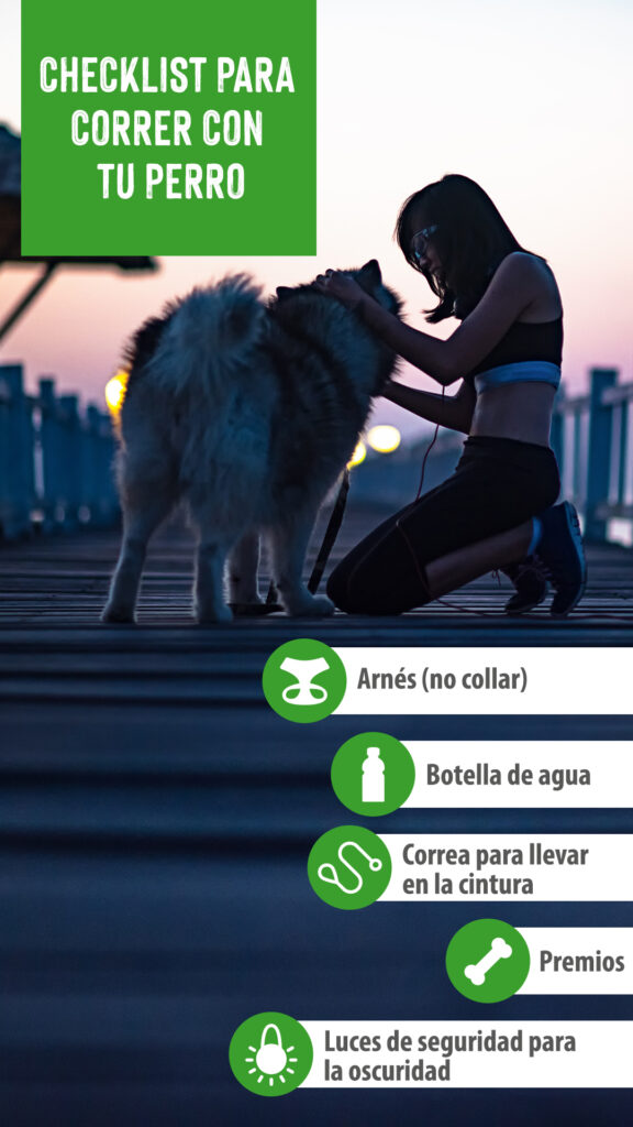 correr con perro