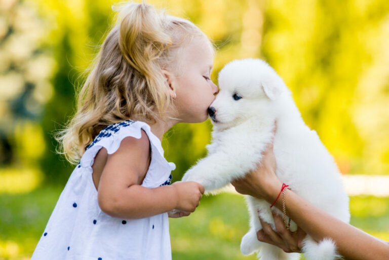 Besos de perros