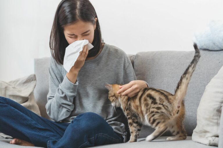 Alergia a los gatos | Salud del gato cuidados | zooplus Magazine