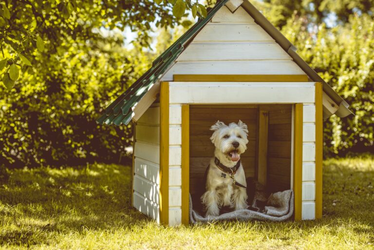 Cómo hacer una caseta de perro