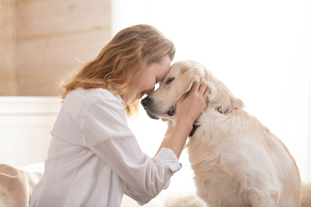 Enfermedad hepática en perros