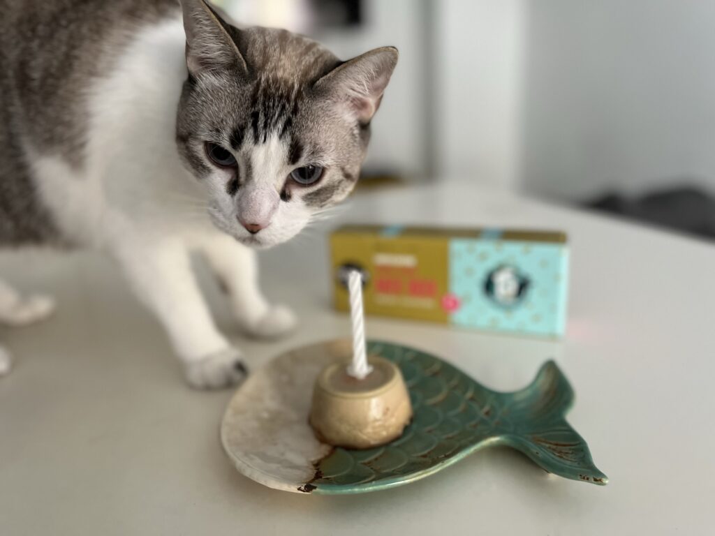 tartas para gatos