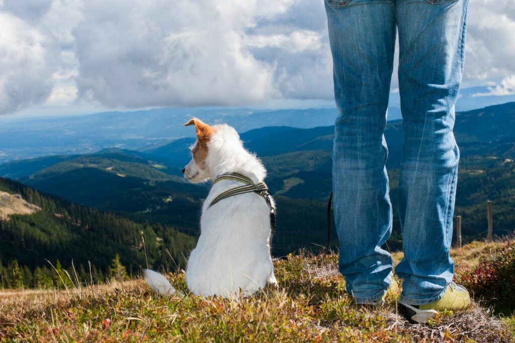 Senderismo con perros