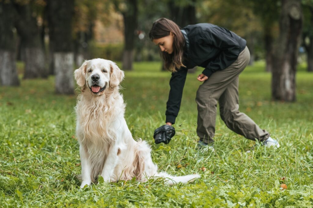 nematodos en perros