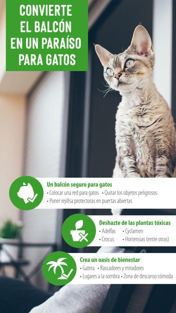 Cómo proteger balcones para gatos