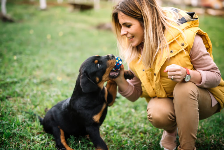 Cómo entretener a un cachorro