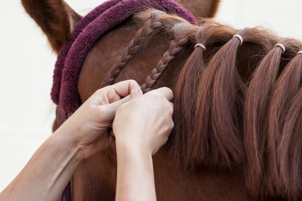 Los caballos y el calor