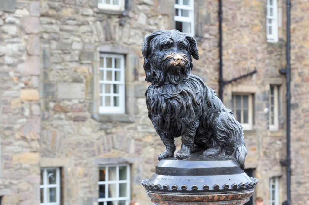 Skye terrier