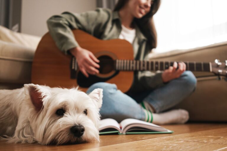 Música relajante para perros