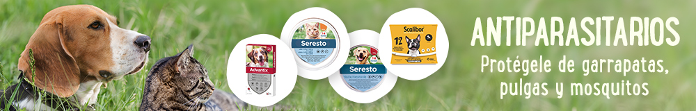 Antiparasitarios para perros y gatos