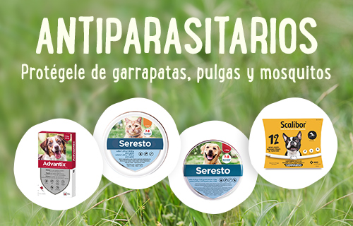 Antiparasitarios para perros y gatos