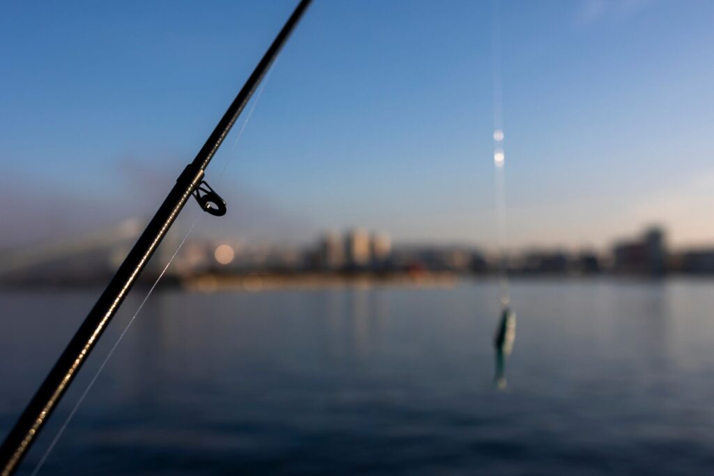 los peces sienten dolor