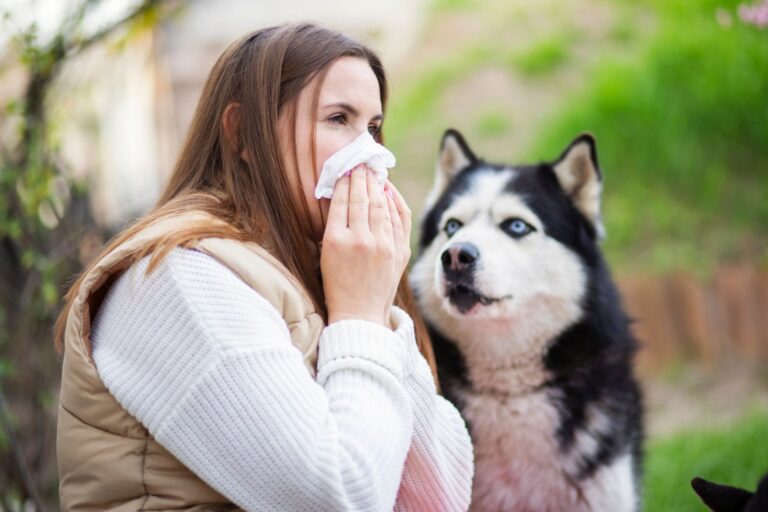 Alergia a los perros