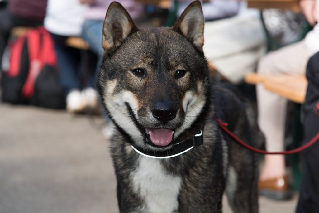 Shikoku