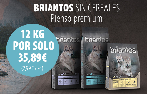 Briantos pienso para perros en oferta