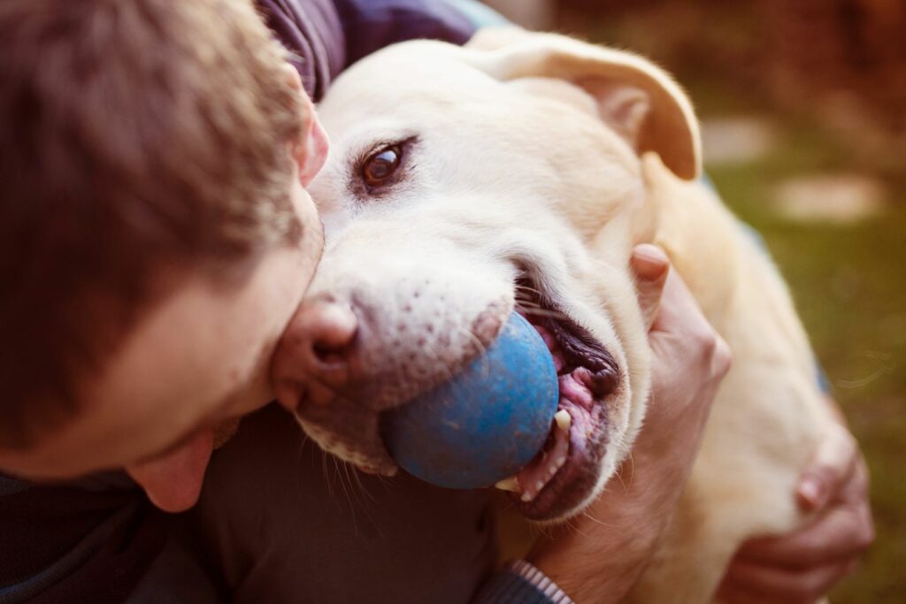 Custodia compartida de perros