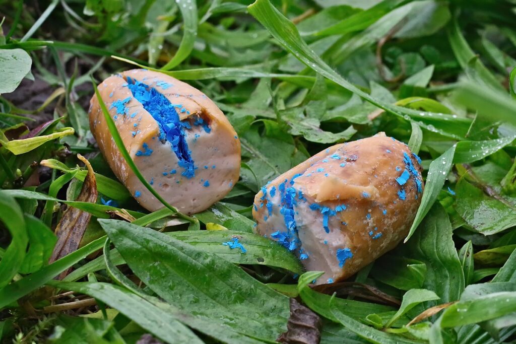 cebo envenenado
