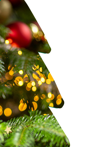 Navidad zooplus