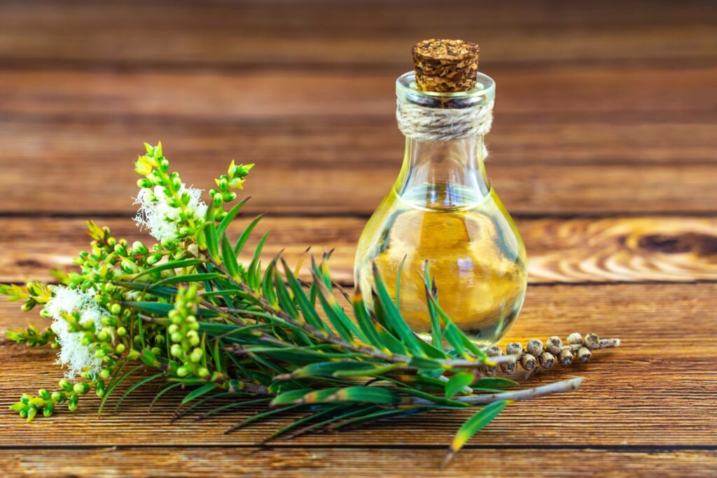 Aceite de árbol de té para gatos