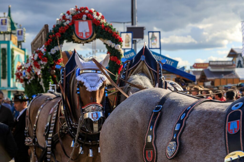 Caballo sangre fría