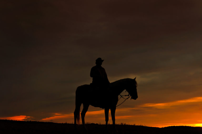 Cómo montar a caballo de noche