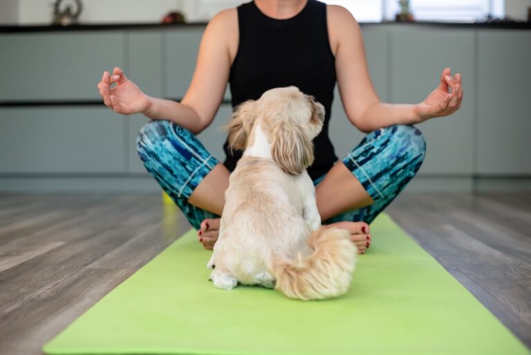 Mujer y cachorro practicando Puppy yoga