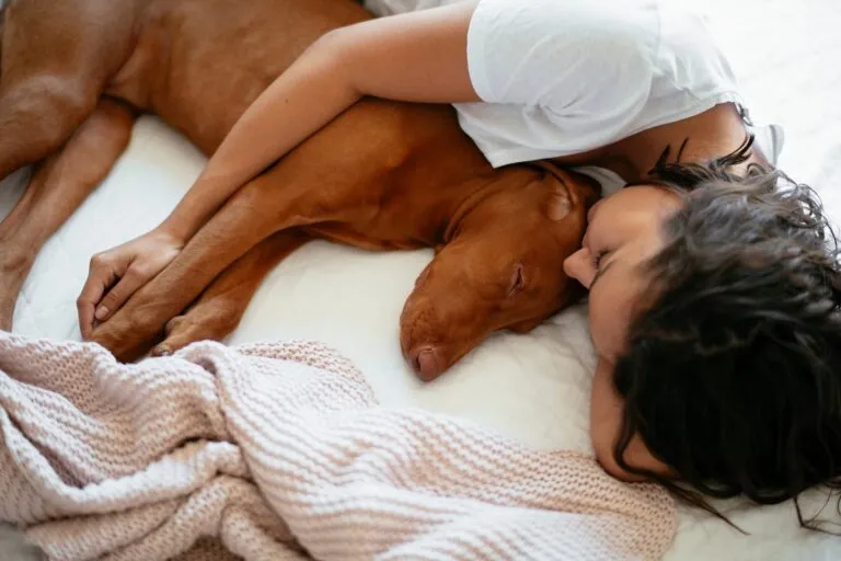 soñar con perros