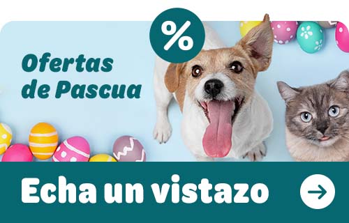 La Semana Santa se acerca
