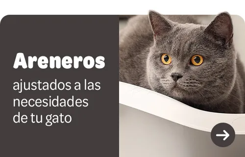 hygiene gatos
