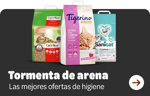 banner arena