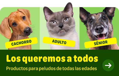 Productos para cada etapa de la vida