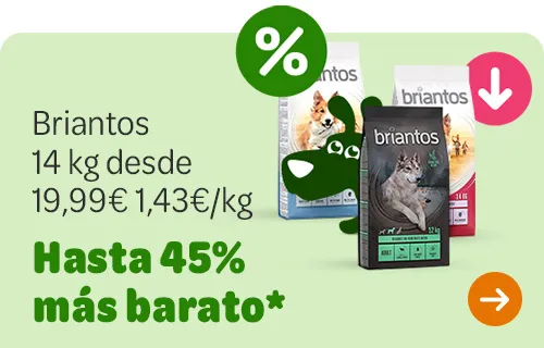 Briantos lateral 1