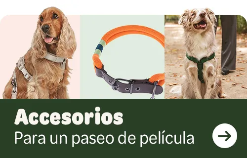 accesorios de pelicula 