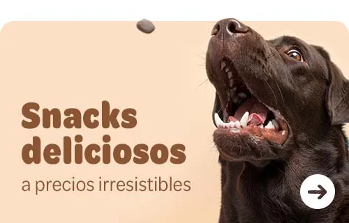 snacks dog training