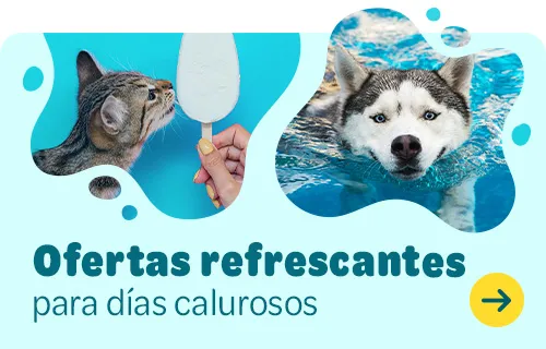 Ofertas refrescantes para días calurosos