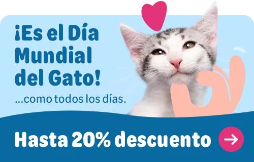¡Es el día mundial del gato! ... como todos los días. Hasta 20 % de descuento