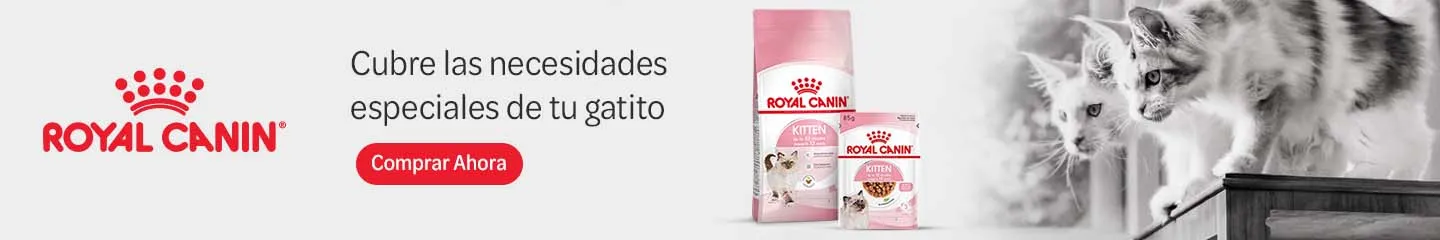 ES_kitten_range_royal_canin_1025