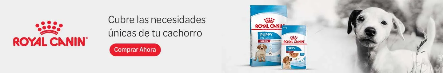 ES_puppy_range_royal_canin_1025